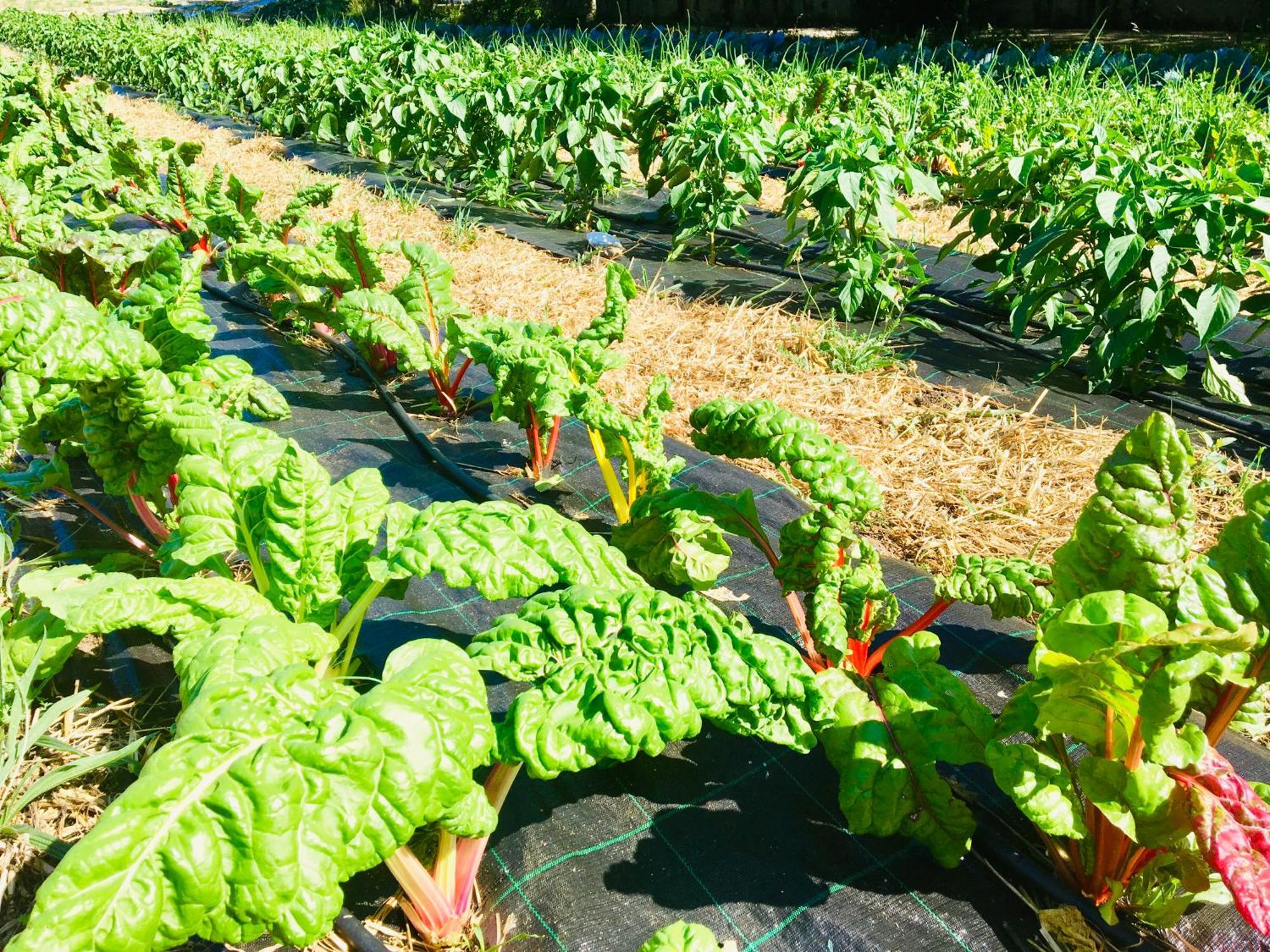 Finca Briabi La Caniza Zewnętrze zdjęcie